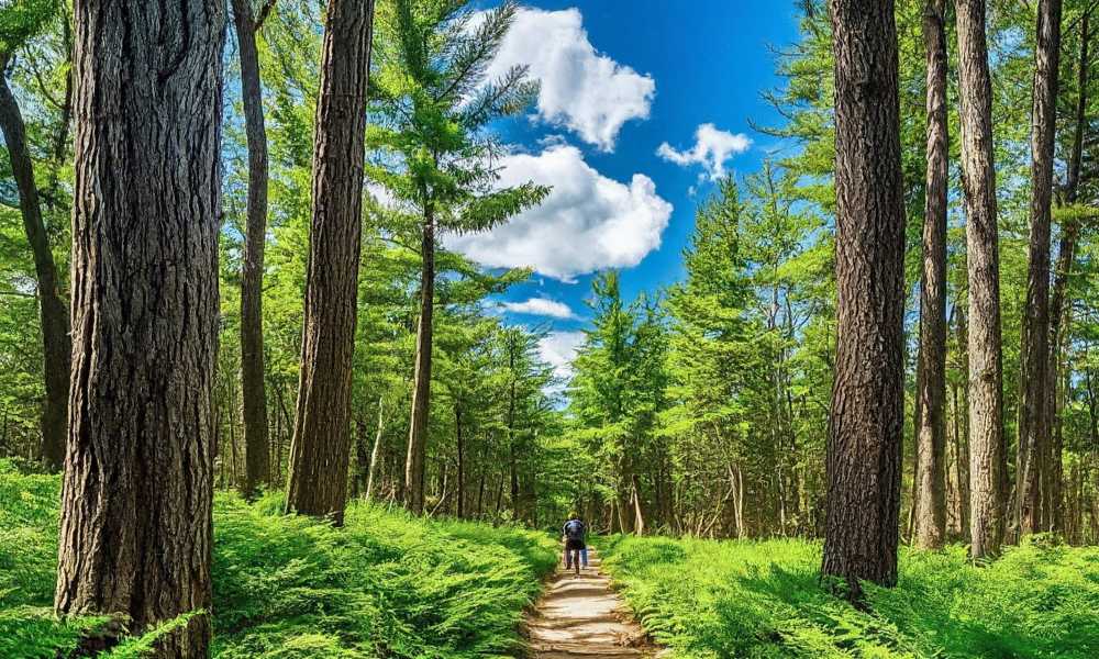 Kanata Outdoors