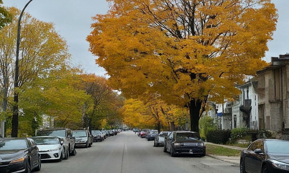 The Cost of Living in Westboro